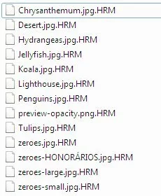 .HRM extension files encrypted by Hermes 2.1 ransomware .HRM extension files encrypted by Hermes 2.1 ransomware