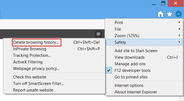 Go to Delete browsing history in IE