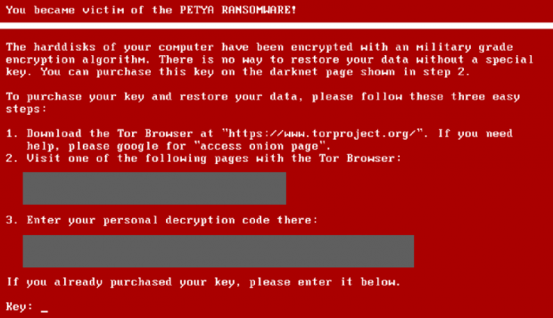 Lock screen displayed by Petya ransomware