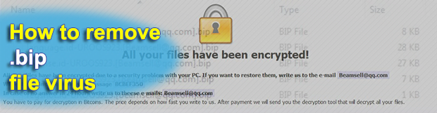 .BIP ransomware decryptor and removal tool