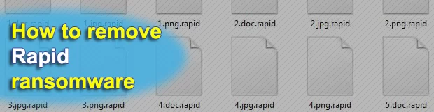 .Rapid ransomware decryptor and removal